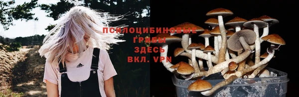 spice Нефтекумск