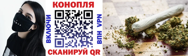 Бошки Шишки ГИДРОПОН  Зубцов 